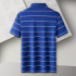 Pierre Cardin Men's Blue Striped Polo Shirt – Silk-Infused Cotton Blend P741TSA005ZQ5S